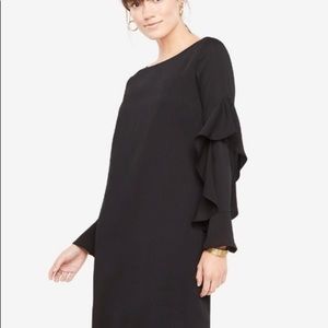 NWT Ann Taylor Ruffle Sleeve Dress